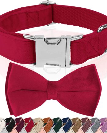 Girl Dog Collars with Bow,Velvet Puppy Collar with Zinc Alloy Safety Buckle, Adjustable Soft Dog Bow Tie Collar, Detachable Breakaway Dog Collar with Metal D-Ring for Small Medium Large Dogs