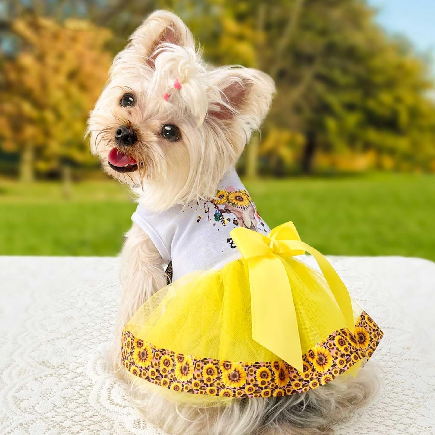 Dog Dress for Small Dogs, Puppy Costume Clothes Girls Pet Clothing Outfit Summer Spring Drs Chihuahua Yorkie Cat Apparel