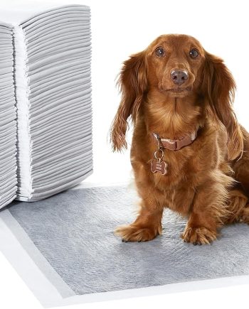 Carbon Odor-Control Dog and Puppy Pee Pads, 5-Layer Leak-Proof Super Absorbent, Quick-Dry Surface, Potty Training, Regular (22x22"), 120 Count, Gray